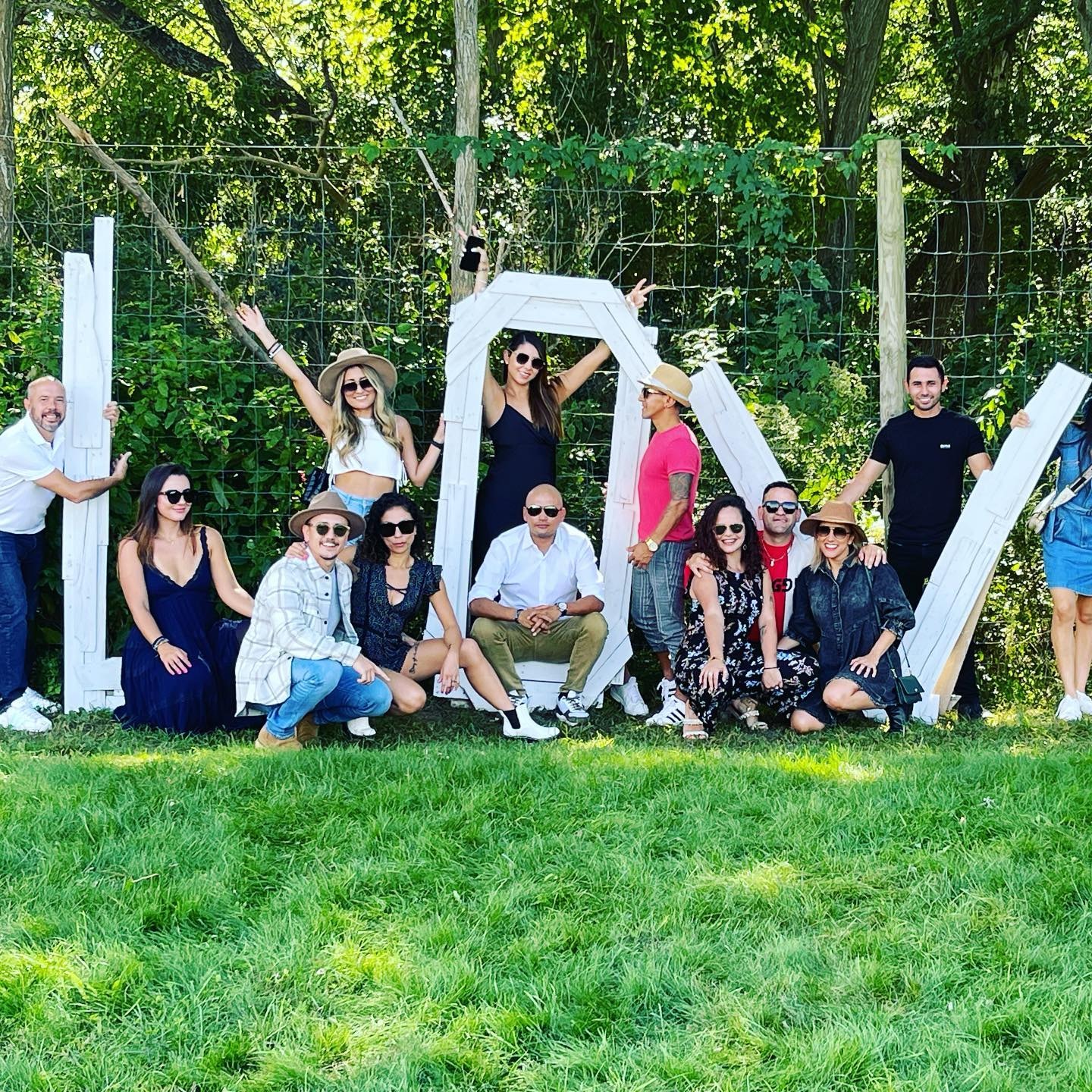 Wine glasses clinking at a vineyard celebration
